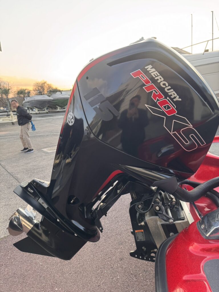 basscat　margay　2017model